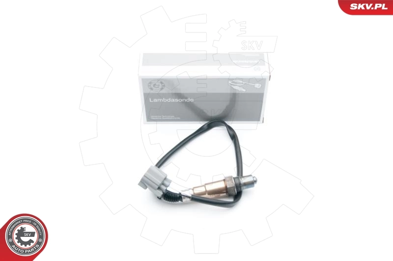 Oxygen Sensor